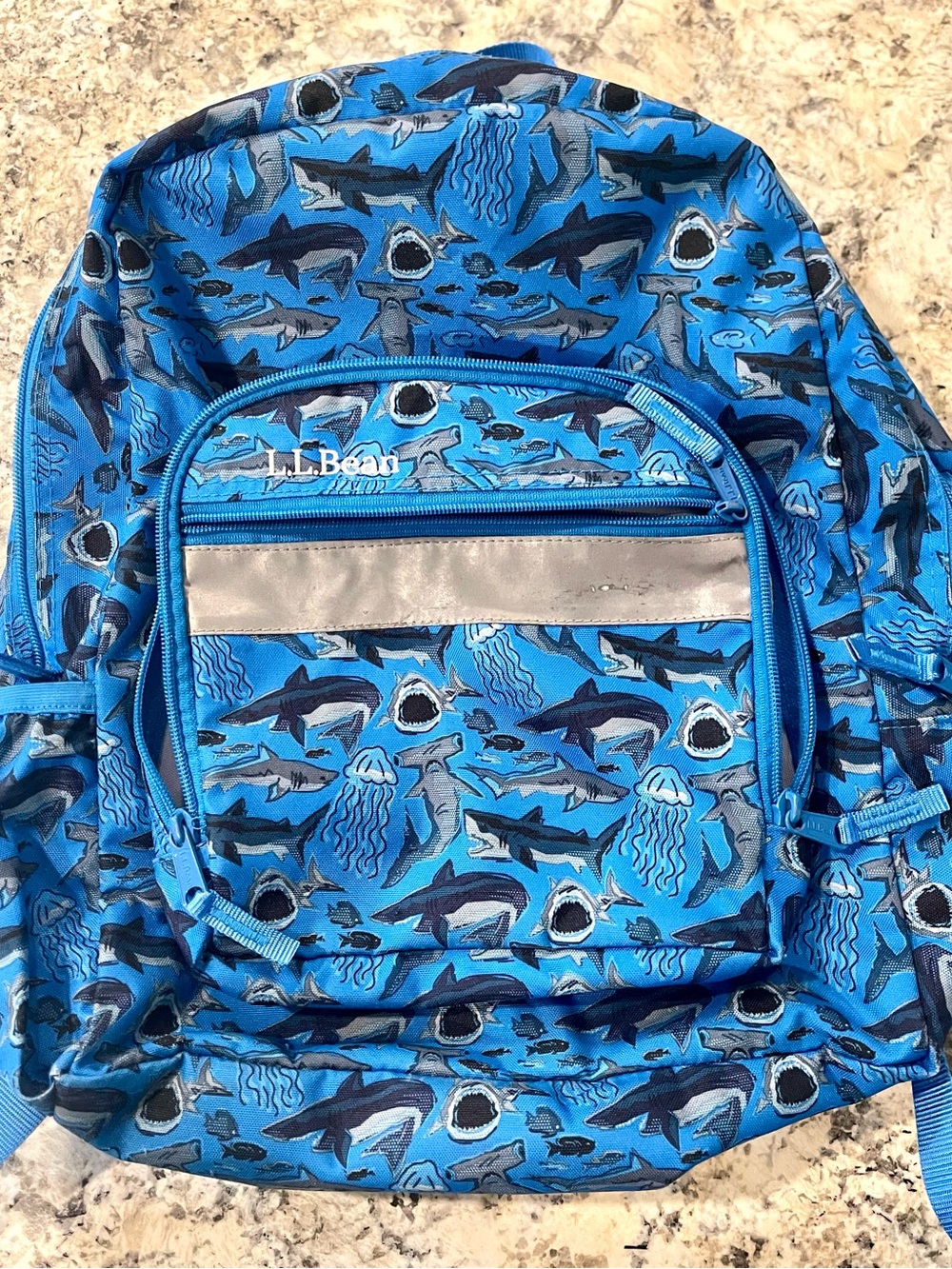Kids L.L. Bean Backpack 24L